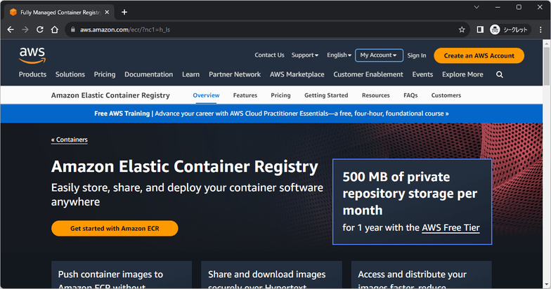 Amaozon Elastic Container Registry(ECR)